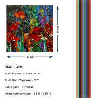 30 cm X 30 cm Eser - HC03-3016